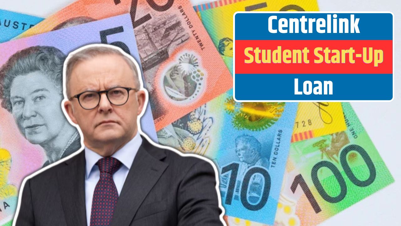 Centrelink Student Start-Up Loan Application Process In 2024