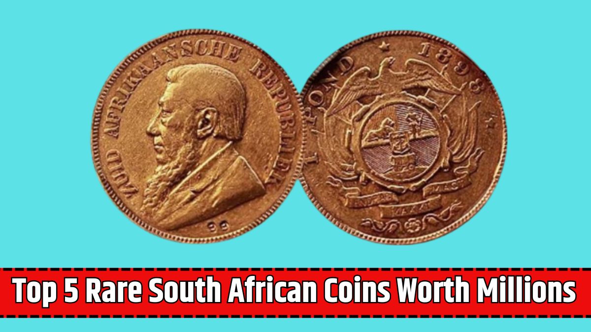 Top 5 Rare South African Coins Worth Millions