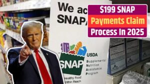 $199 SNAP Payments Claim Process In January 2025