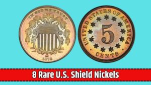 8 Rare U.S. Shield Nickels