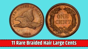 11 Rare Braided Hair Large Cents